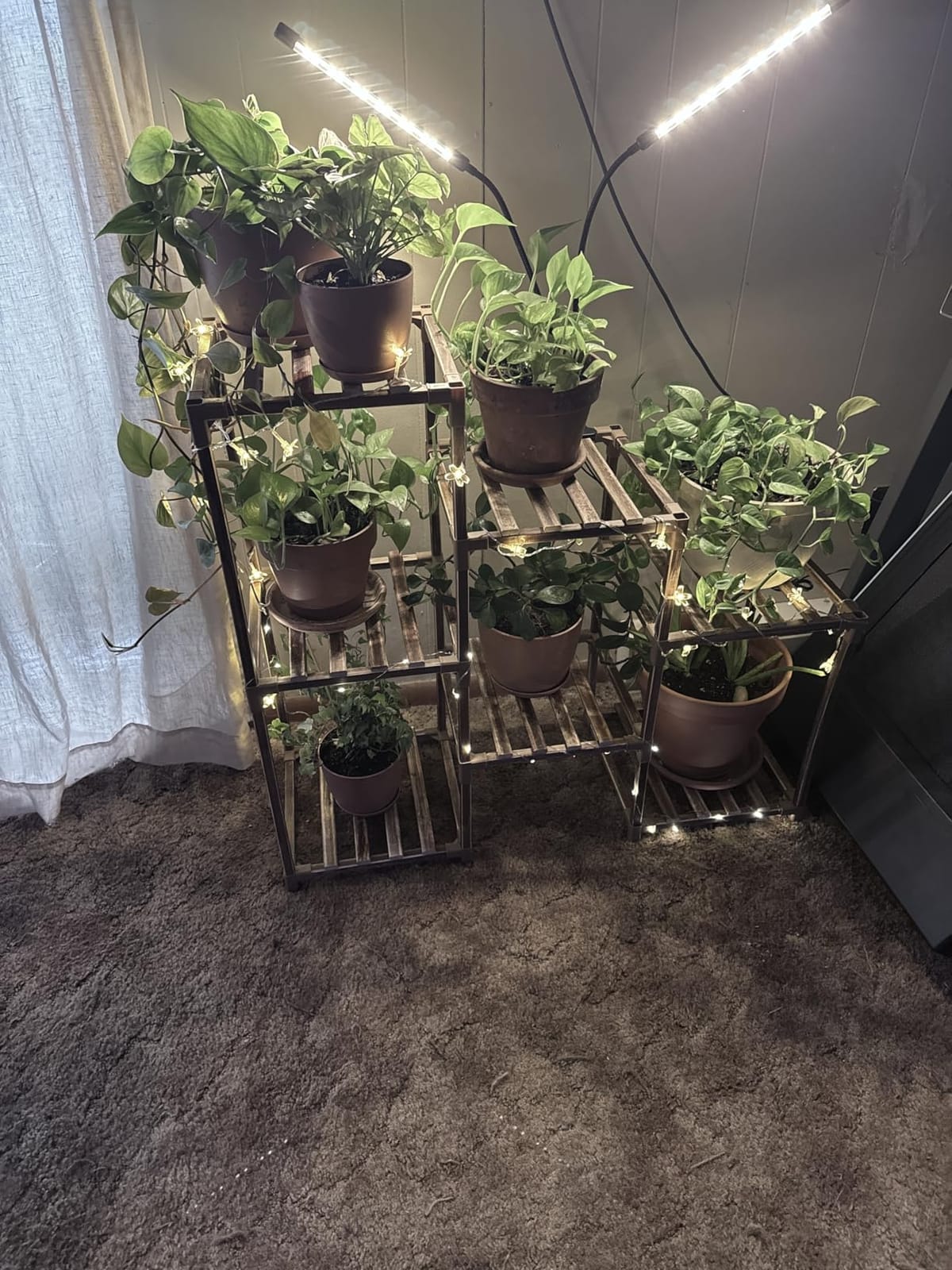 bseah Grow Light Plant Lights for Indoor Plants, Full Spectrum Led Growing Lamp with 3/9/12H Timer, Auto ON & Off, 10 Dimmable Lightness Clip-On Desk customer photo 2