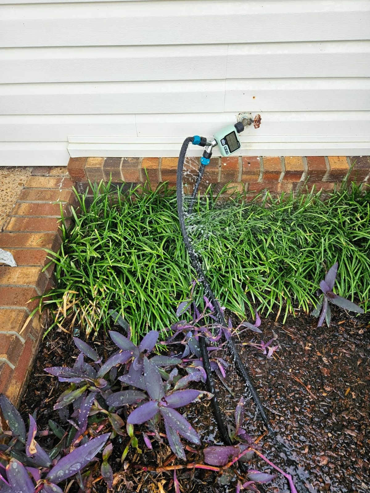 LINEX Flat Soaker Hose 100 ft for Garden Beds, 1/2'' x 50 ft 2 Pack Drip Irrigation Hoses Save Water 80% Heavy Duty for Vegetable customer photo 2