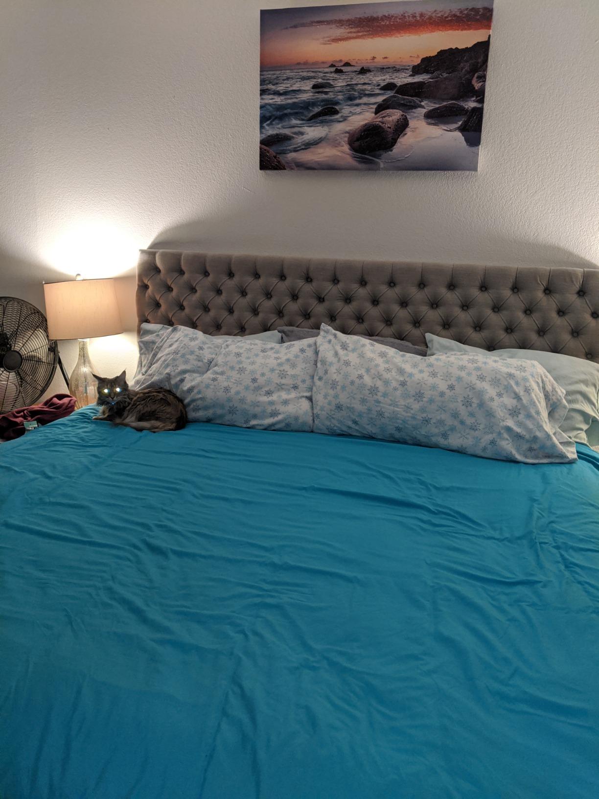 ZIYOO Full Size Bed Frame, 3 Inches Wide Wood Slats,18 Inch Tall Metal Platform, Heavy Duty 1000 lbs Support for Mattress, No Box Spring Needed, Noise Free customer photo 2