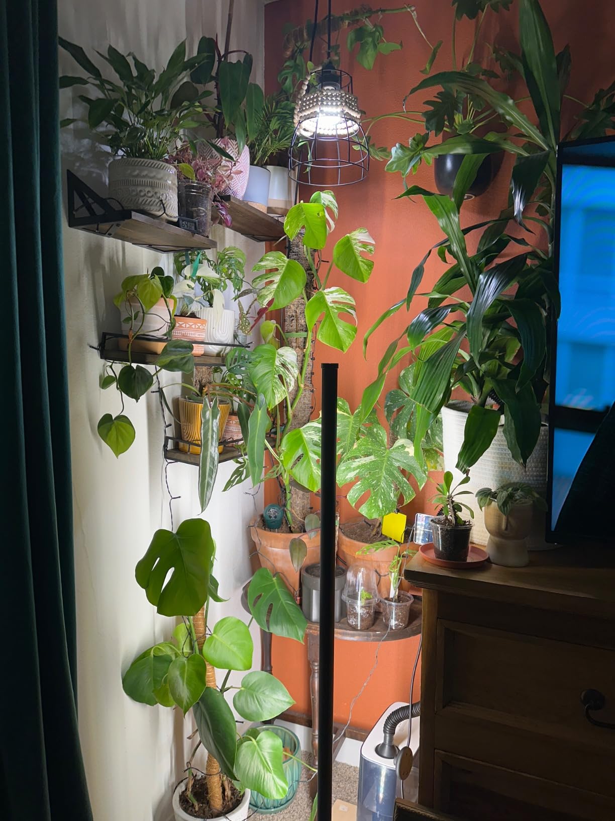 Barrina T10 Vertical Grow Light, 4FT 42W, Full Spectrum, High PPFD customer photo 1