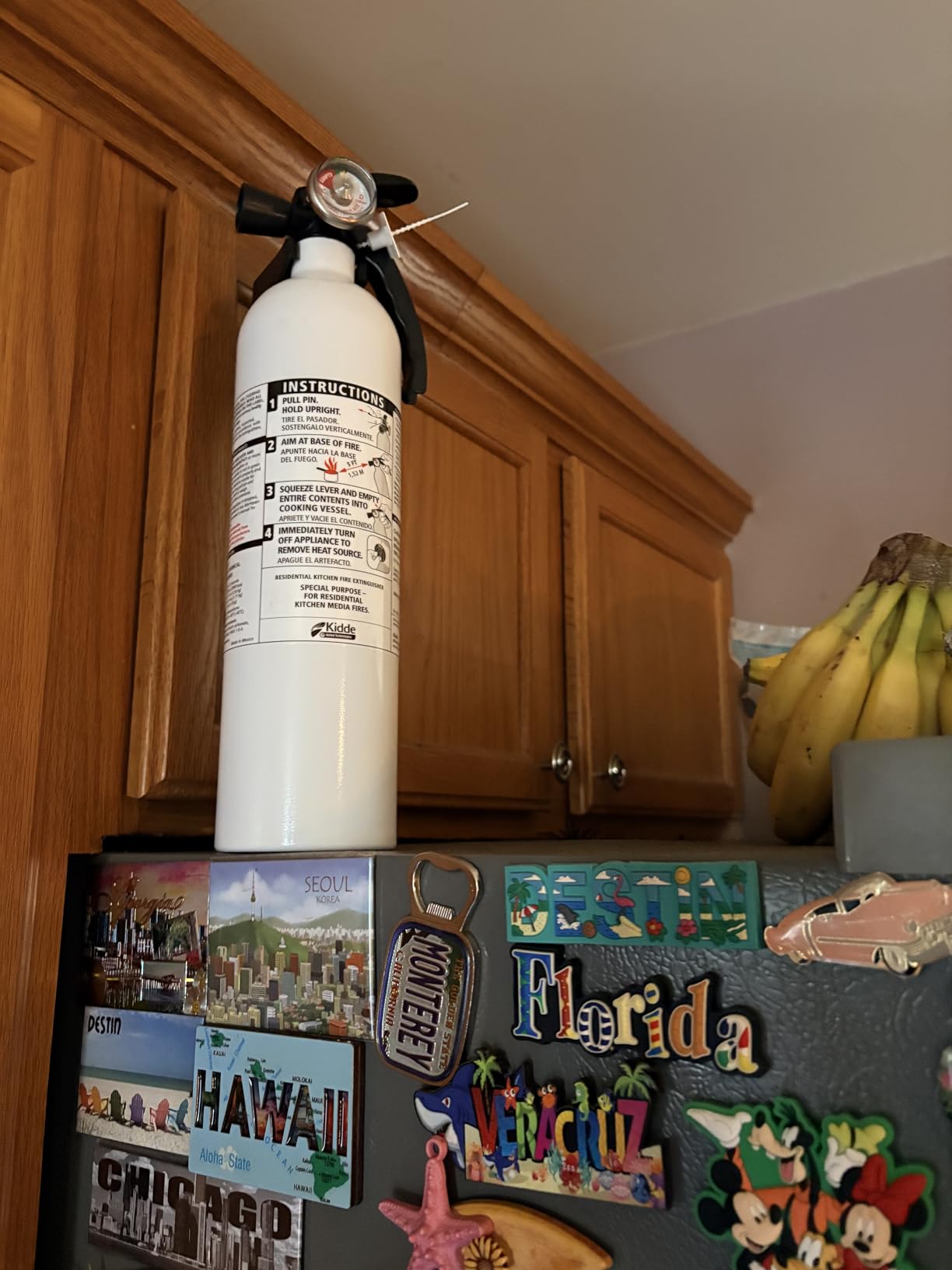 Kidde Kitchen Fire Extinguisher, 711A, RESSP customer photo 1