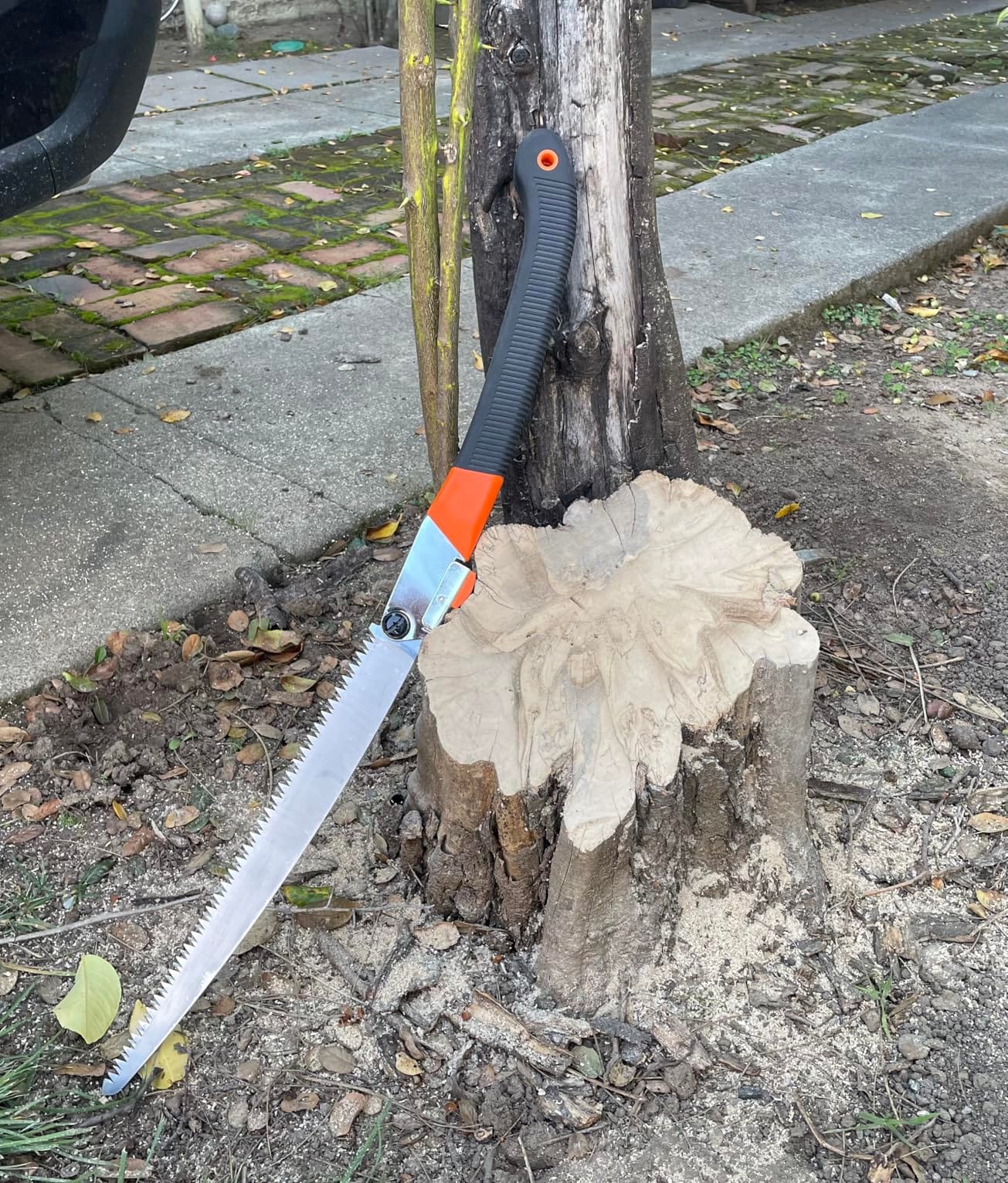 REXBETI 14-Inch Folding Pruning Saw, Extra Long Hand Saw for Tree Trimming customer photo 2