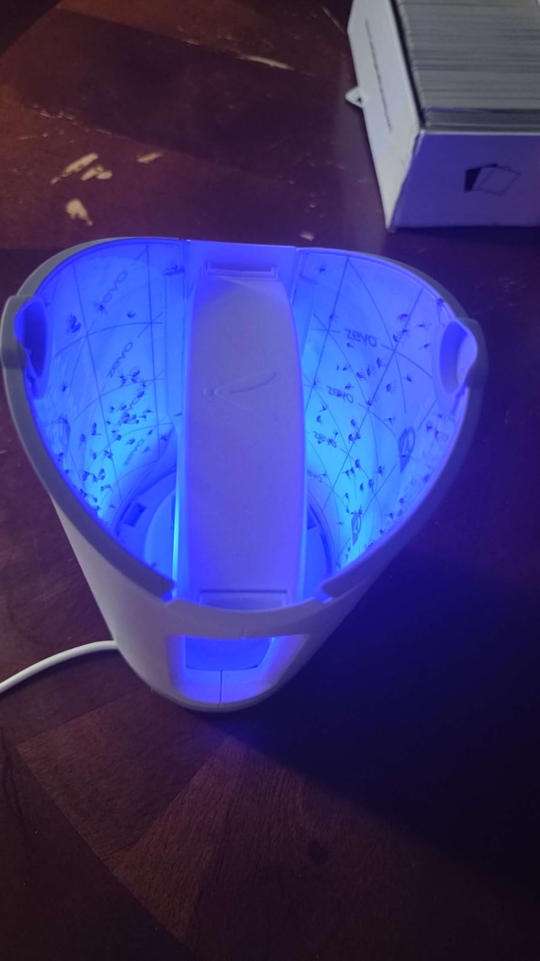 Zevo MAX Bug Catcher, Gnat & Fruit Fly Trap Indoors, 1 Base & 2 Refills customer photo 1