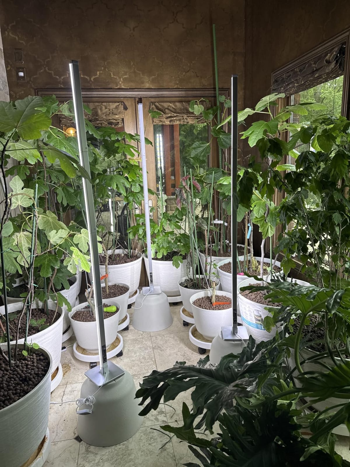 GLOWRIUM 60in Standing Grow Light, Vertical Grow Lights for Indoor Plants customer photo 2