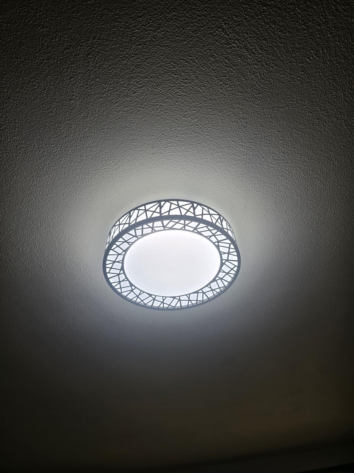 Lightania 12 Inch Bird's Nest Flush Mount Ceiling Light, 20W, 5CCT customer photo 2