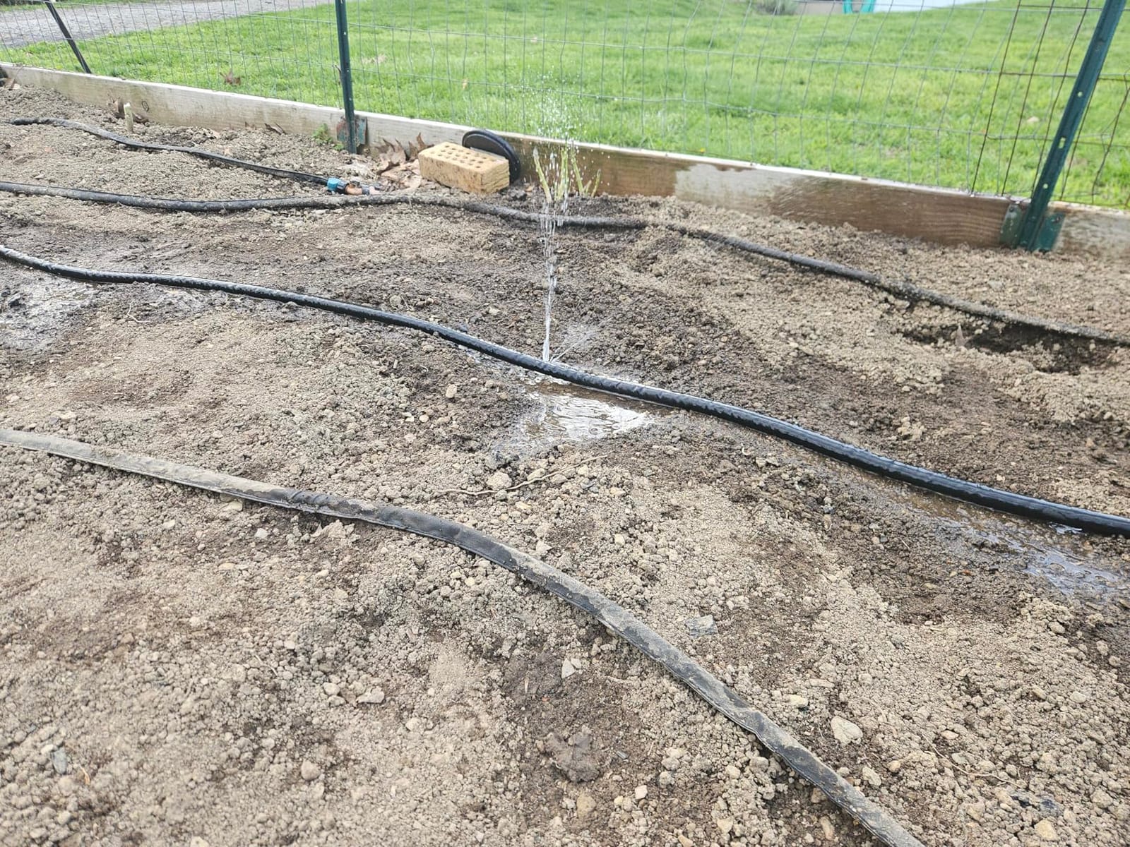 Secbulk 2026 Flat Soaker Hose 100 ft with Stakes for Garden, 50ft x 2 Linkable Drip Hose Diy Garden Irrigation System Saving 80% Water, Dual-layer Leak-free Design Water Hose with Holes customer photo 2