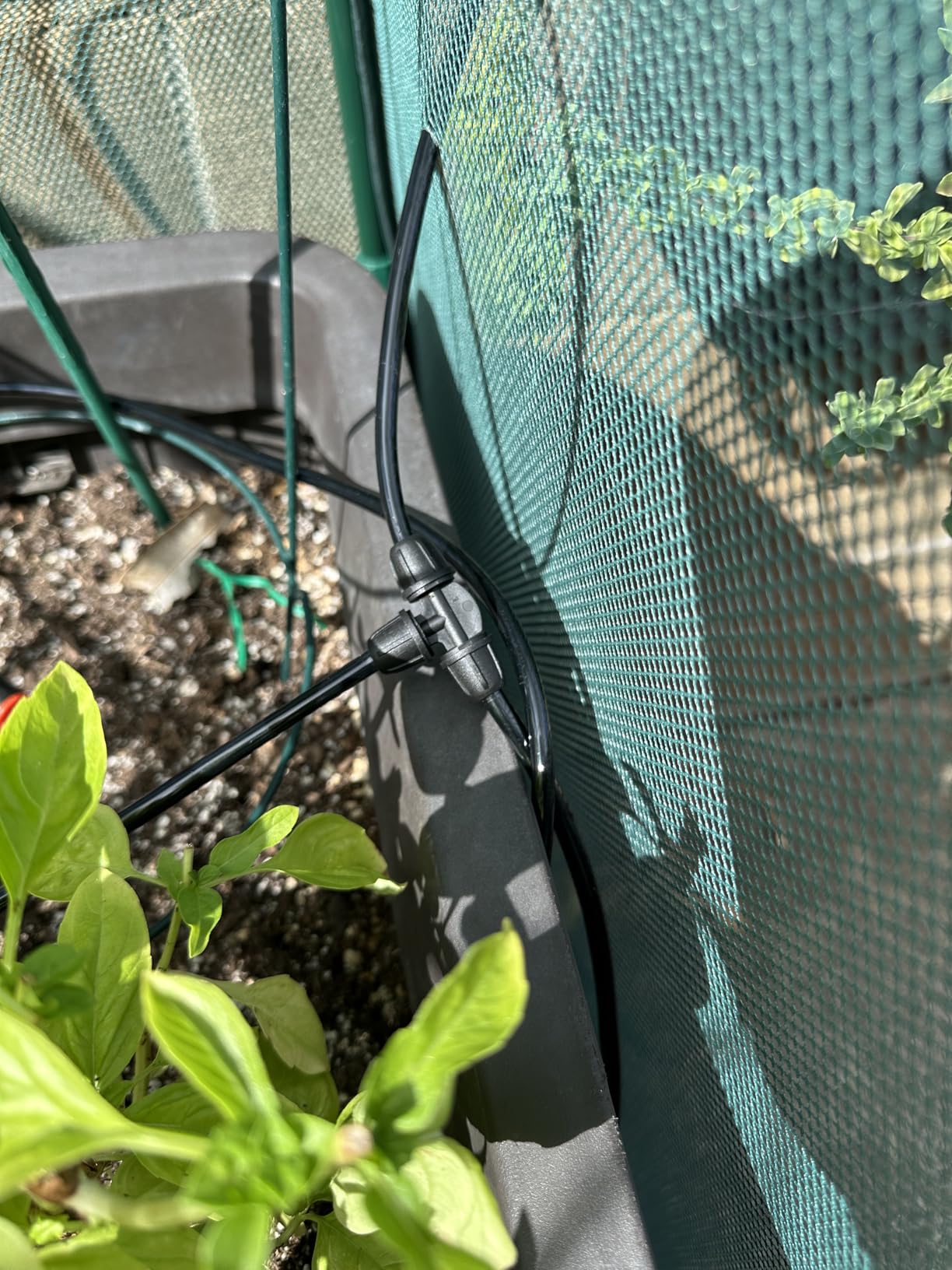 LetPot Automatic Watering System for Potted Plants, [Wi-Fi & App Control] Drip Irrigation Kit System, Smart Plant Watering Devices for Indoor Outdoor, Water Shortage Remind, IPX66, Green customer photo 1