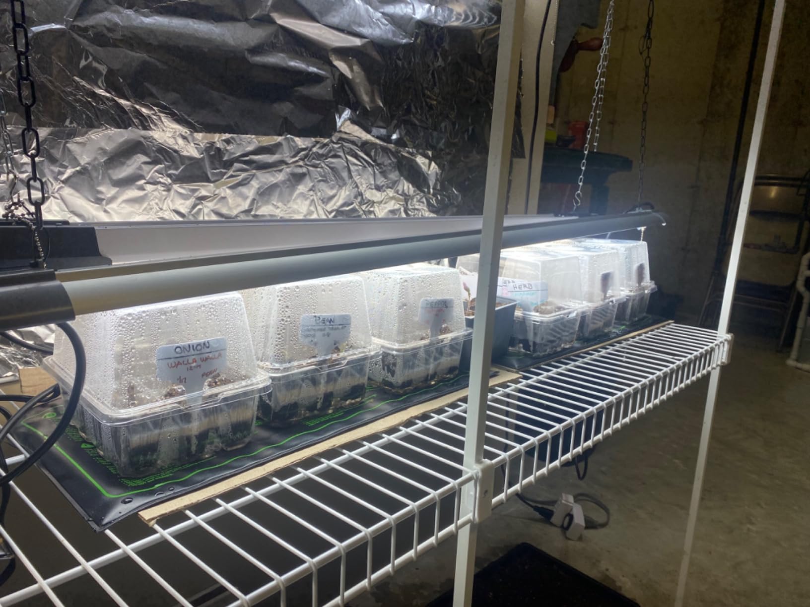 Bonviee 5-Pack Seed Starter Trays, Humidity Dome, Base, 12-Cell Tray, Green customer photo 1