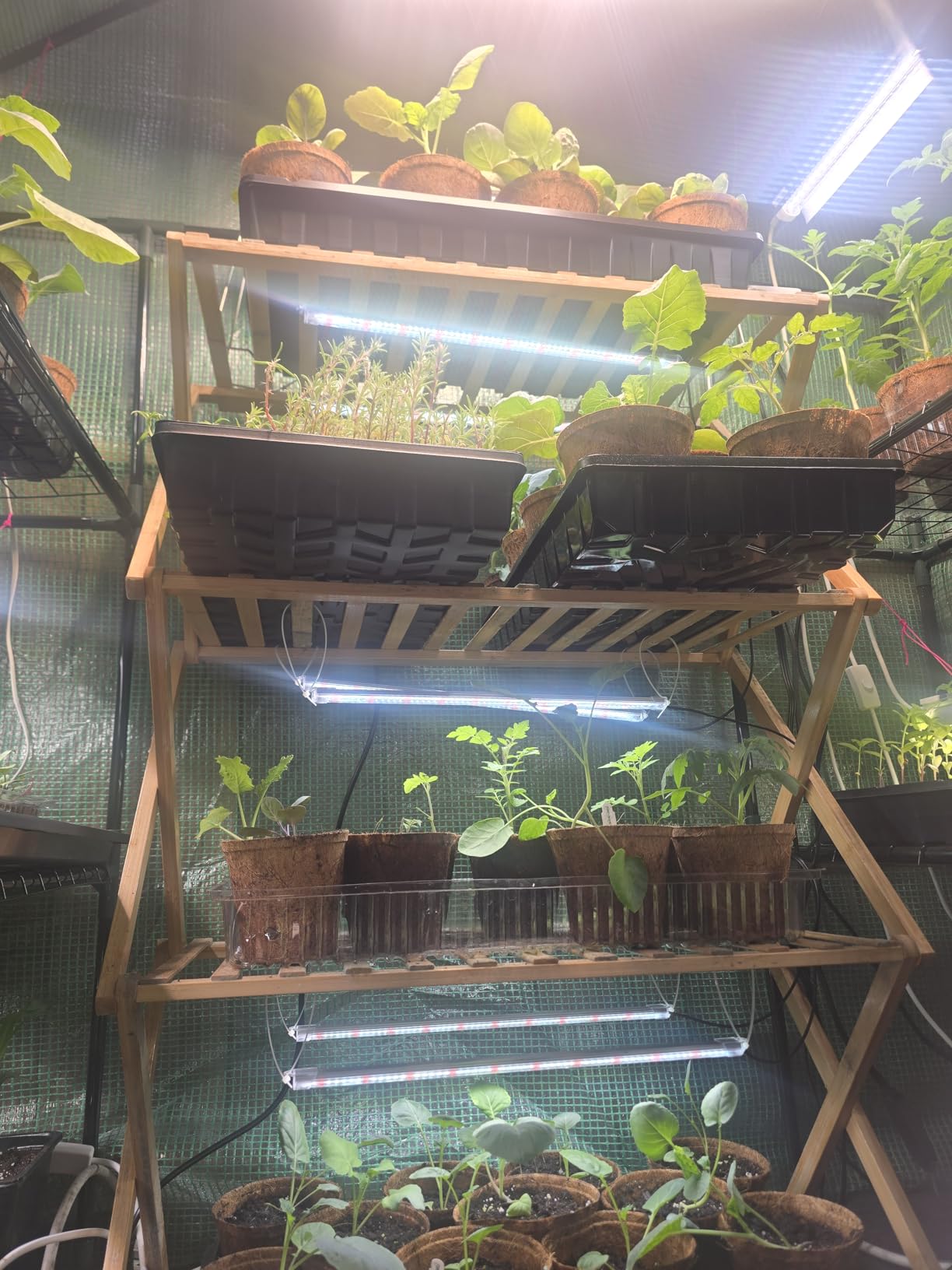SDOVUERC 16'' 6 Bars Grow Light Strips for Indoor Shelves Plants Growing. customer photo 1