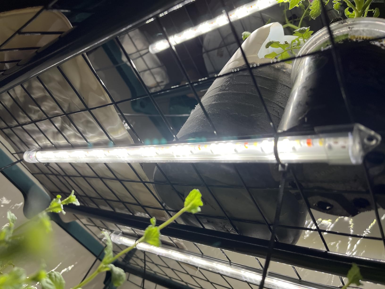 SDOVUERC 16'' 6 Bars Grow Light Strips for Indoor Shelves Plants Growing. customer photo 2