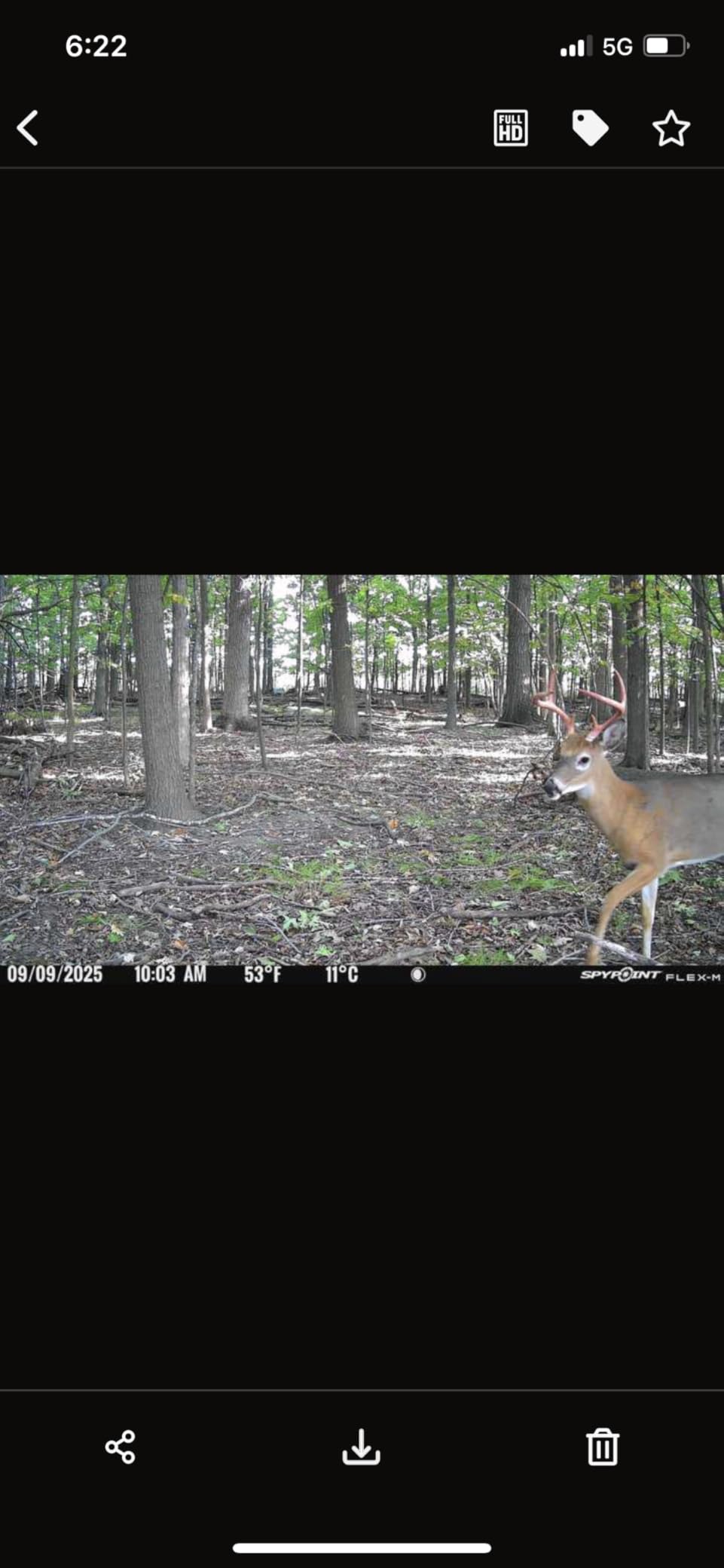 SPYPOINT Flex-M Cellular Trail Camera - Best Hunting Accessories, No WiFi Needed, Night Vision, Motion Activated, Dual-Sim LTE, IP65 Water-Resistant Game Camera, 28MP Photos, 720p Videos + Sound (3) customer photo 2