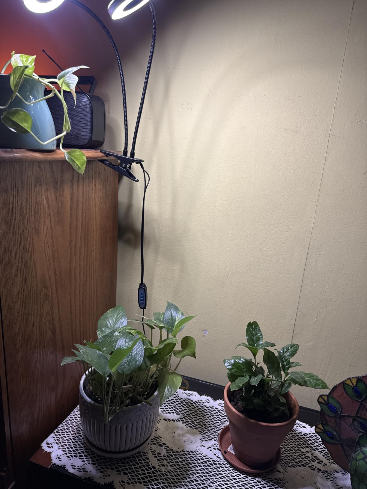 Grow Lights for Indoor Plant, Upgrade 96 LEDs Clip On Plant Lights customer photo 1