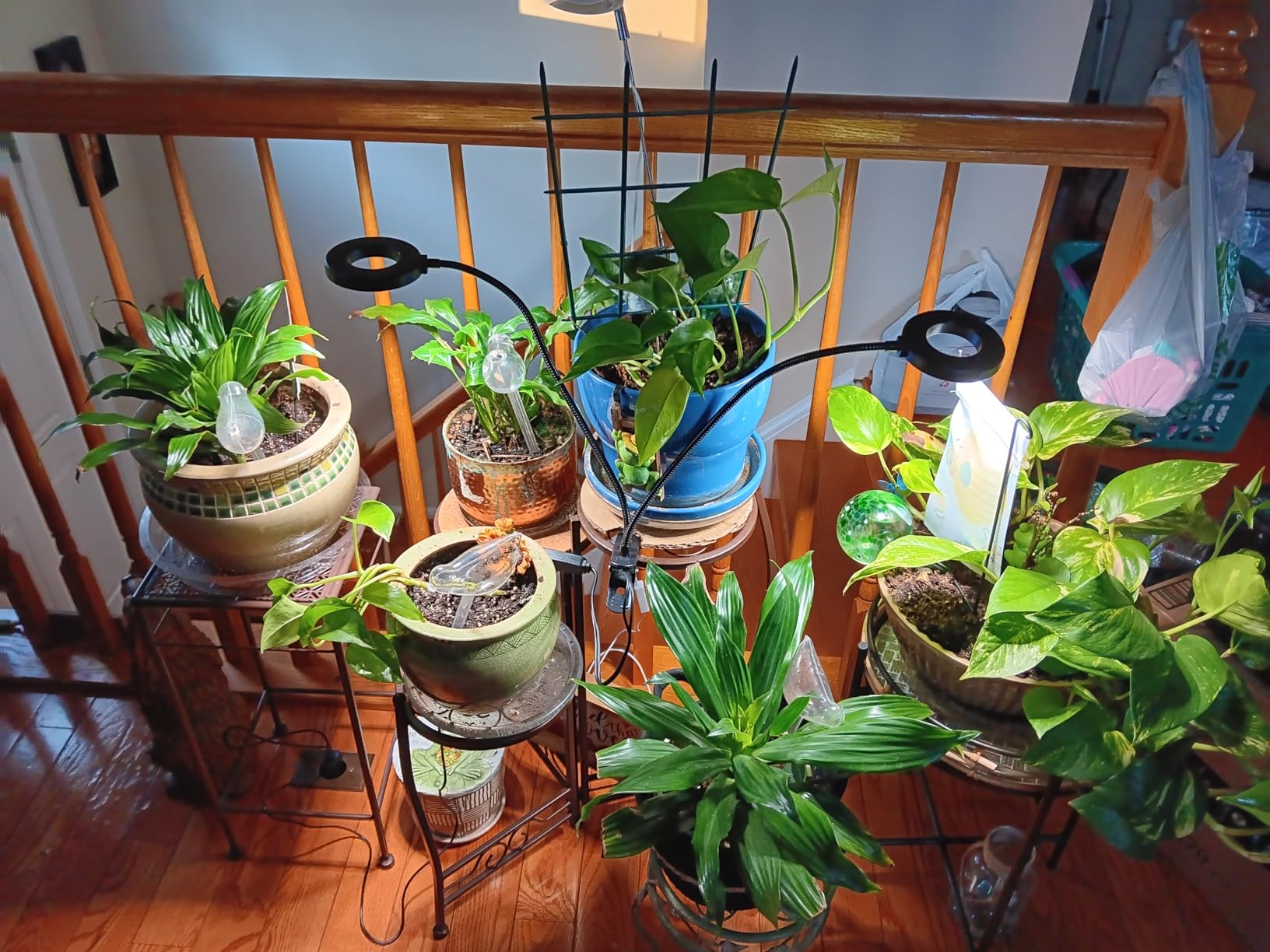 Grow Lights for Indoor Plant, Upgrade 96 LEDs Clip On Plant Lights customer photo 2