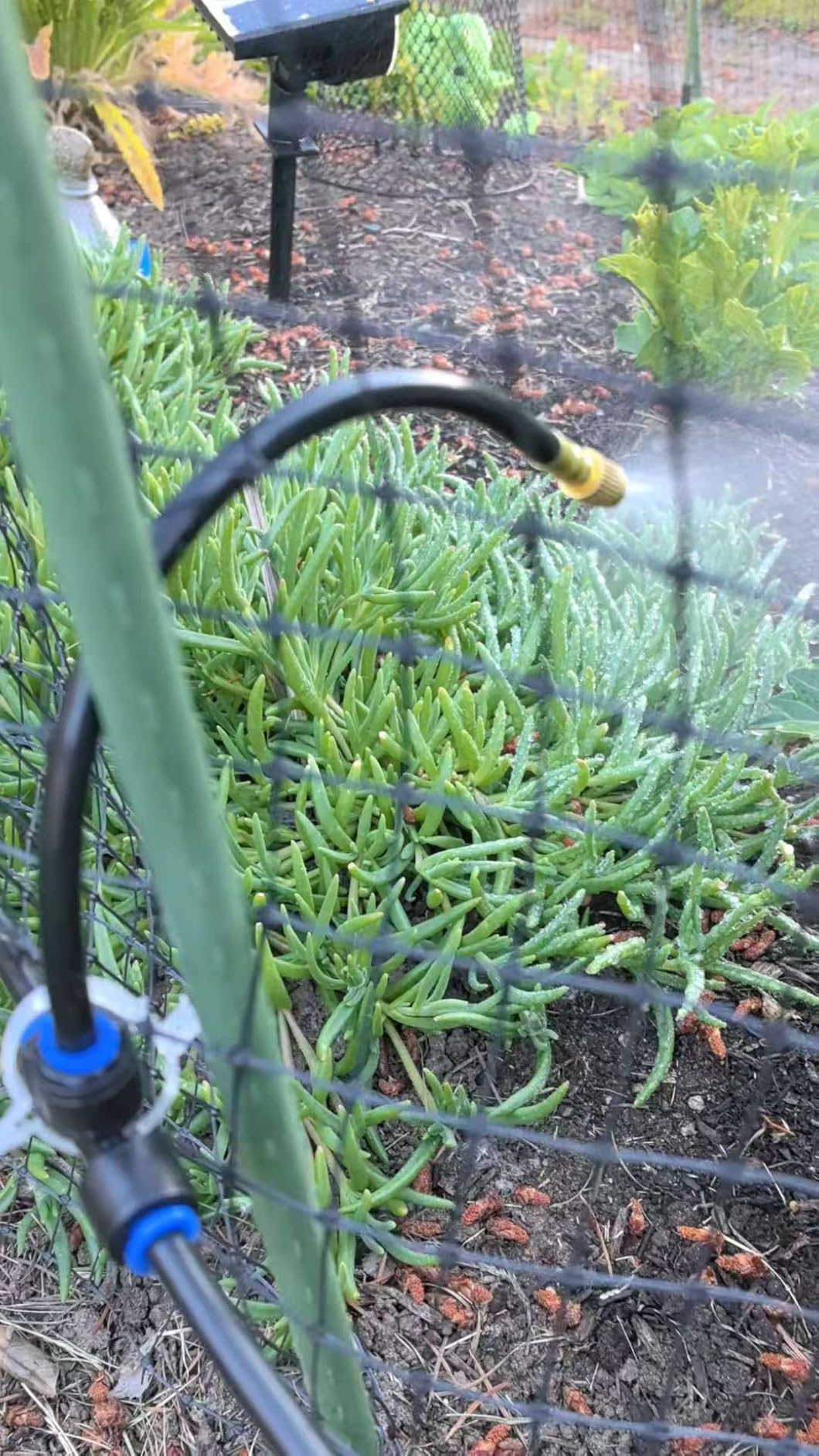 60FT Drip Irrigation System with Smart Water Timer customer photo 2