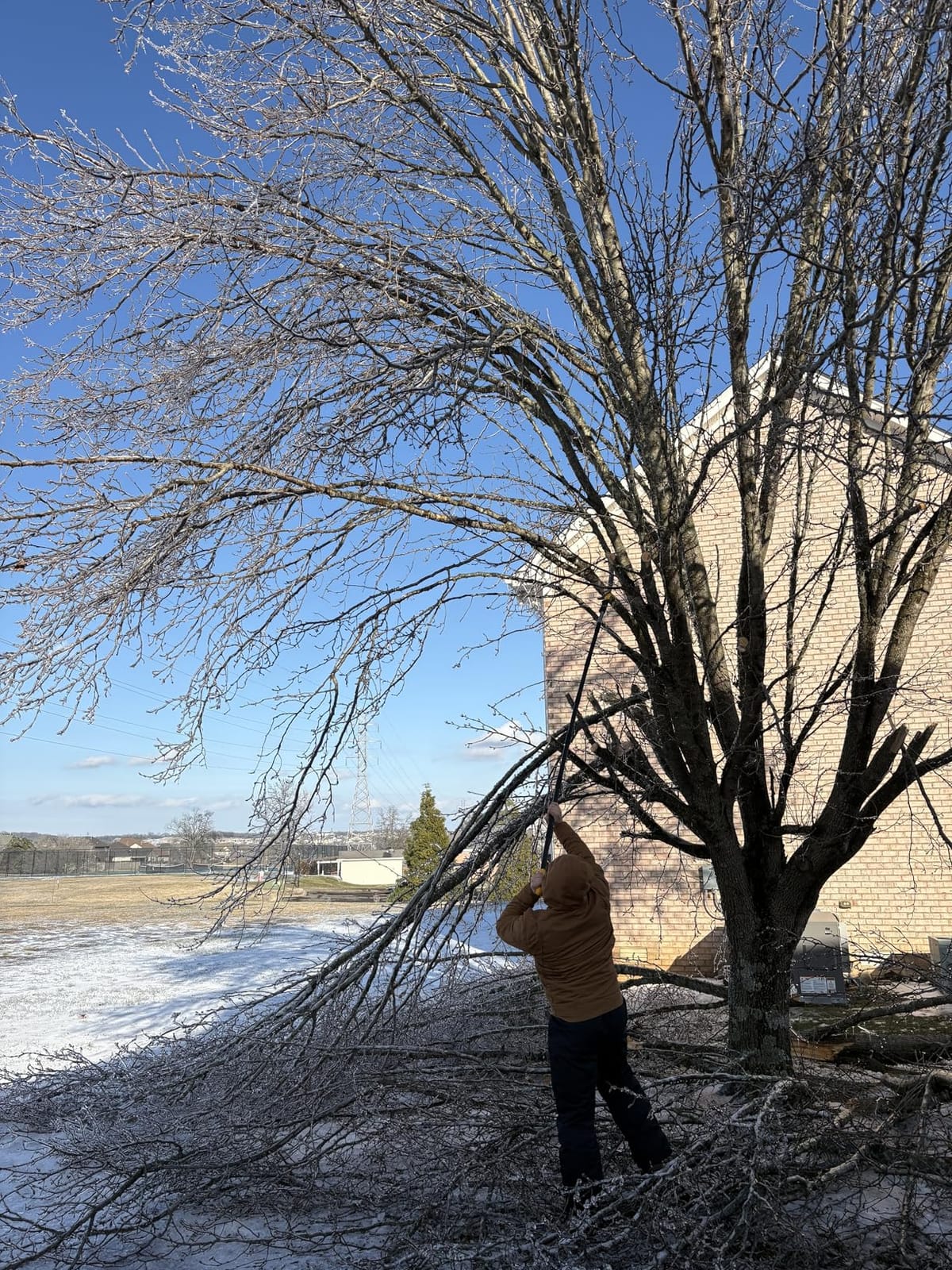 14.5FT Pole Saw with Adjustable Length for Tree Trimming, Lightweight Manual Pruning Saw with Mn Steel Blade, Long Extension Branch Cutter High Reach for Yard, Garden, Patio & Forestry Use customer photo 1