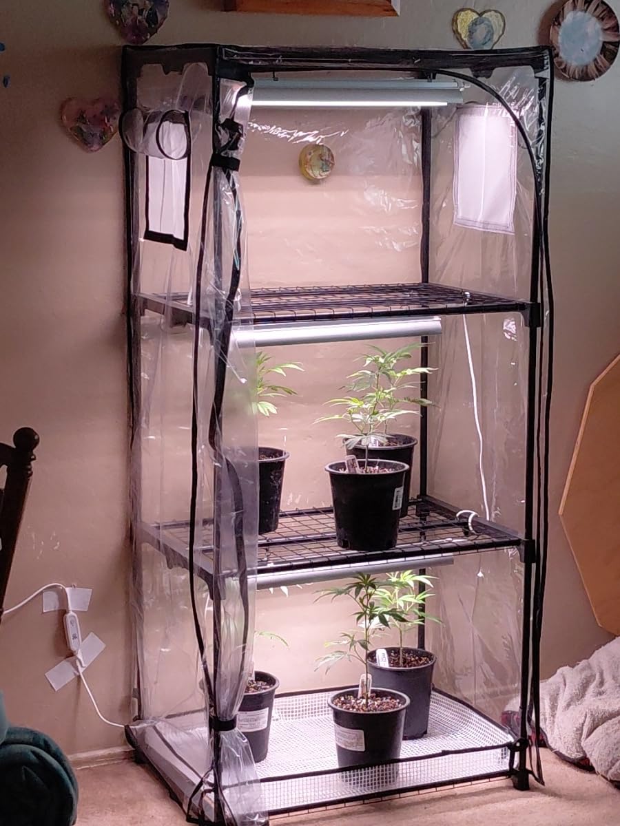 Indoor Greenhouse with Grow Light, 4-Tier Plant Shelf, 39x19x63in customer photo 2