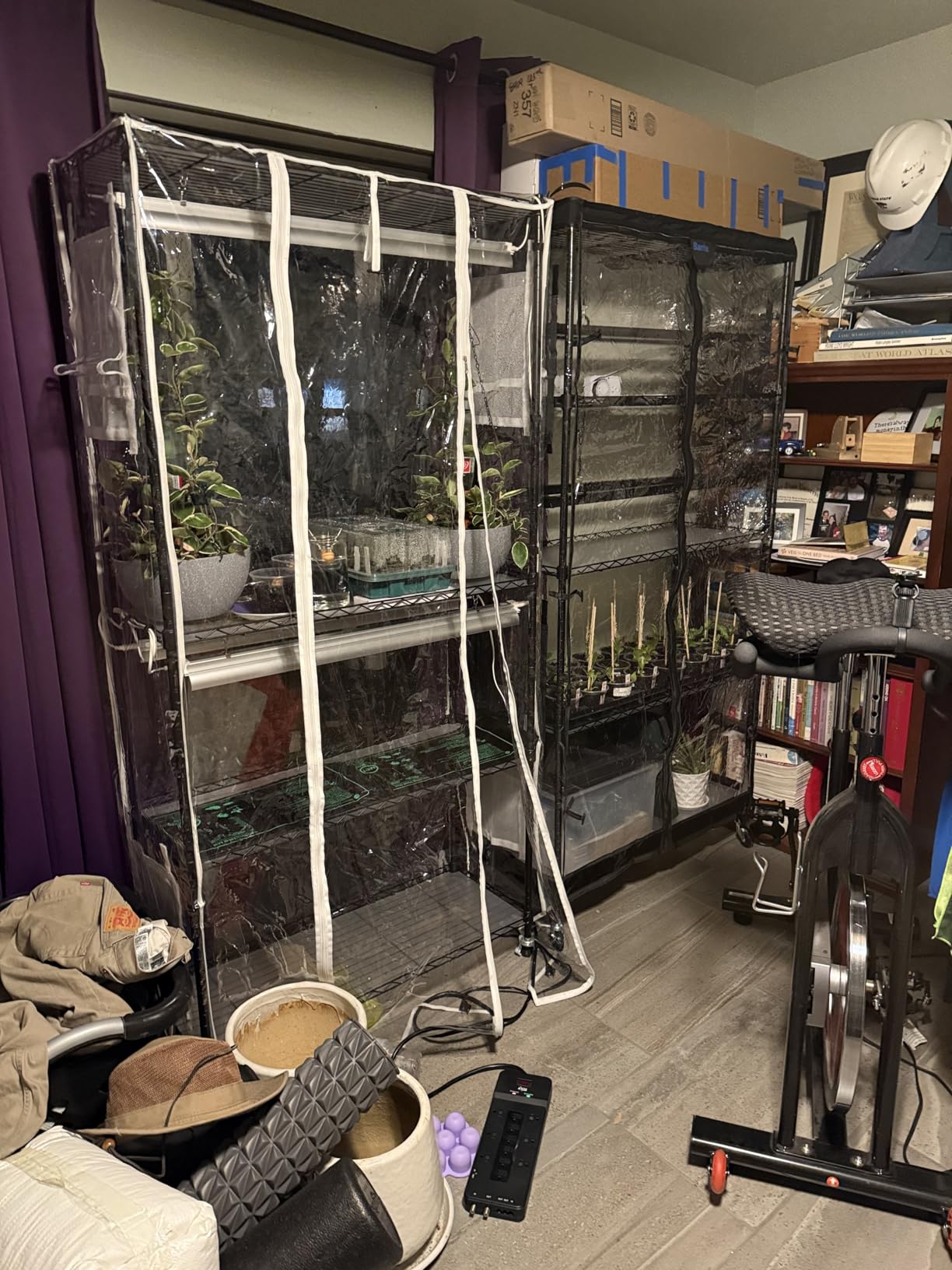 Barrina LP600 Indoor Greenhouse with Grow Light, 5 Tier Stand with Tent customer photo 2