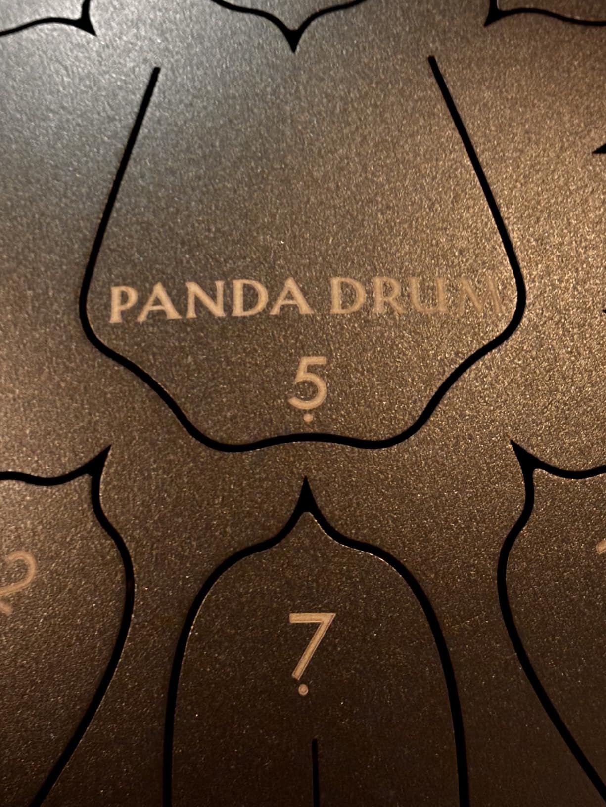 Panda Drum Plus (White) | Steel Tongue Drum for Inside & Outside | 11 Inch customer photo 2
