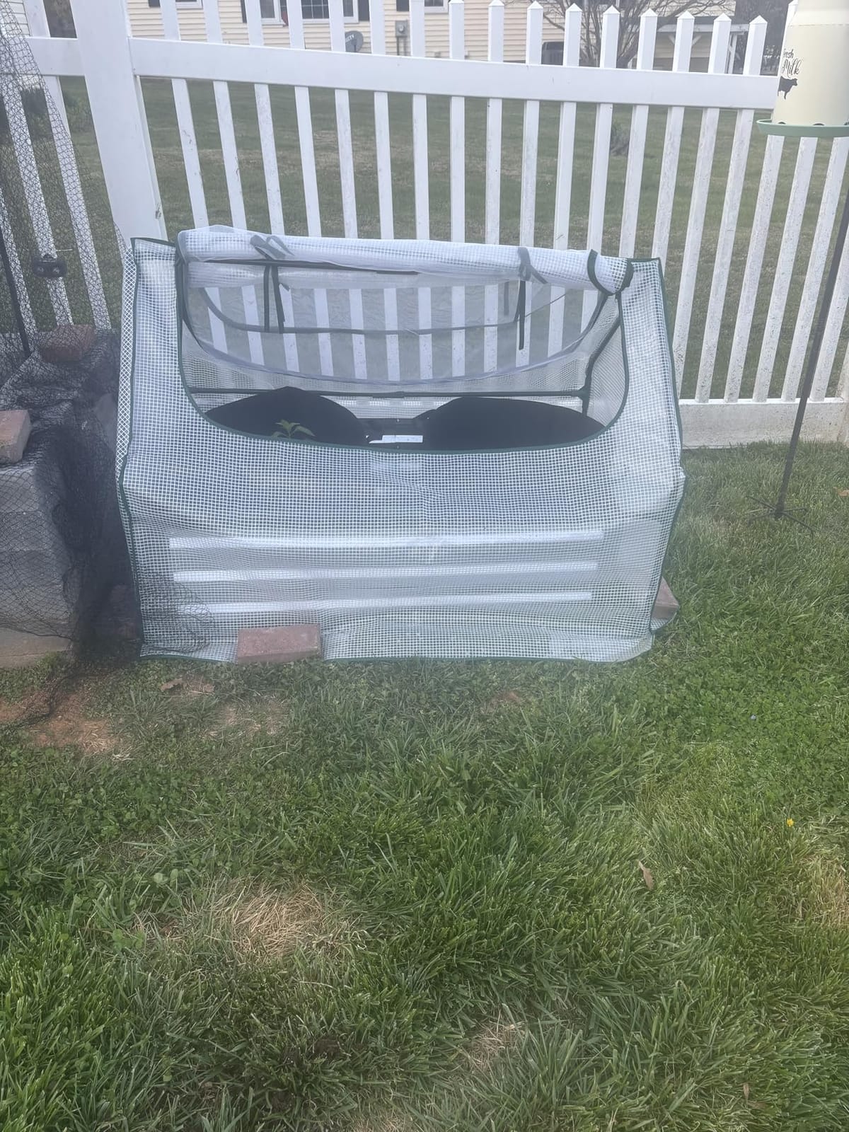 Miory Raised Garden Bed with PE Cover, 6x3x1 FT Galvanized Planter Box Outdoor with Greenhouse Cover, 2 Large Zippered Screen Windows for Vegetables, Flowers, Includes Labels & Gloves customer photo 2