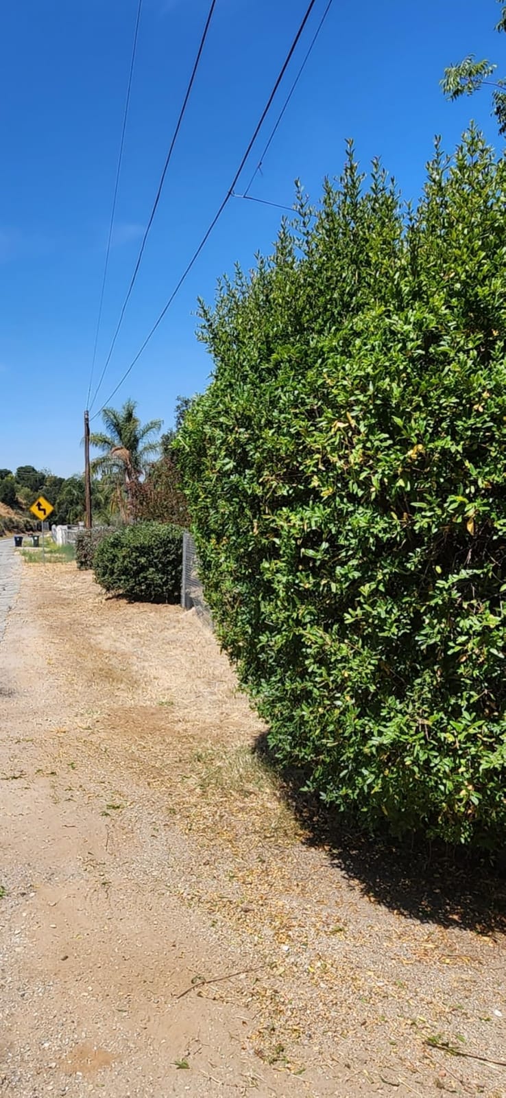 22'' Cordless Hedge Trimmer with 2 Batteries & Charger, Brushless Motor customer photo 1