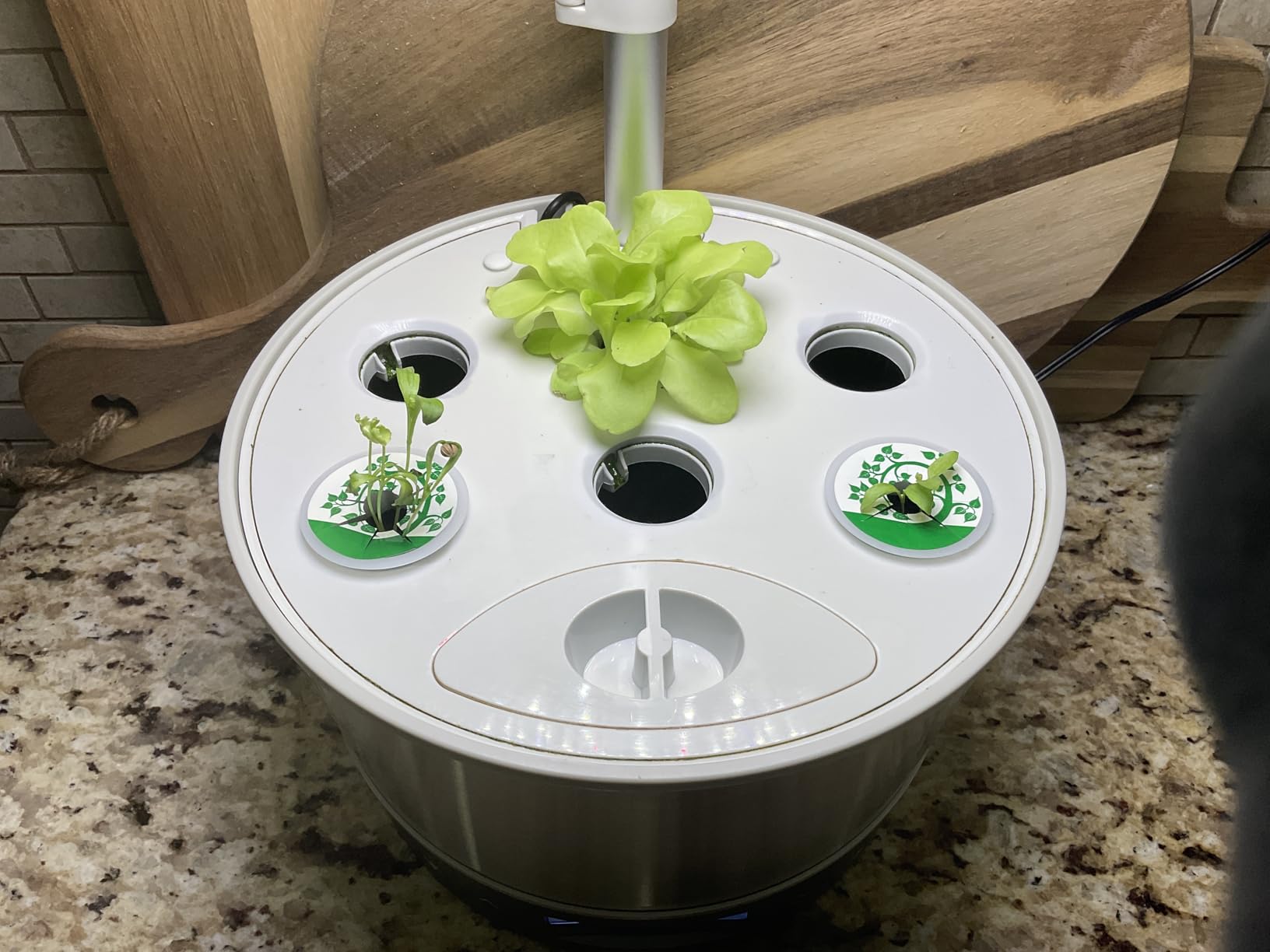 Hydroponic Tower Indoor Growing System Vertical Garden for Gardening Lover customer photo 2