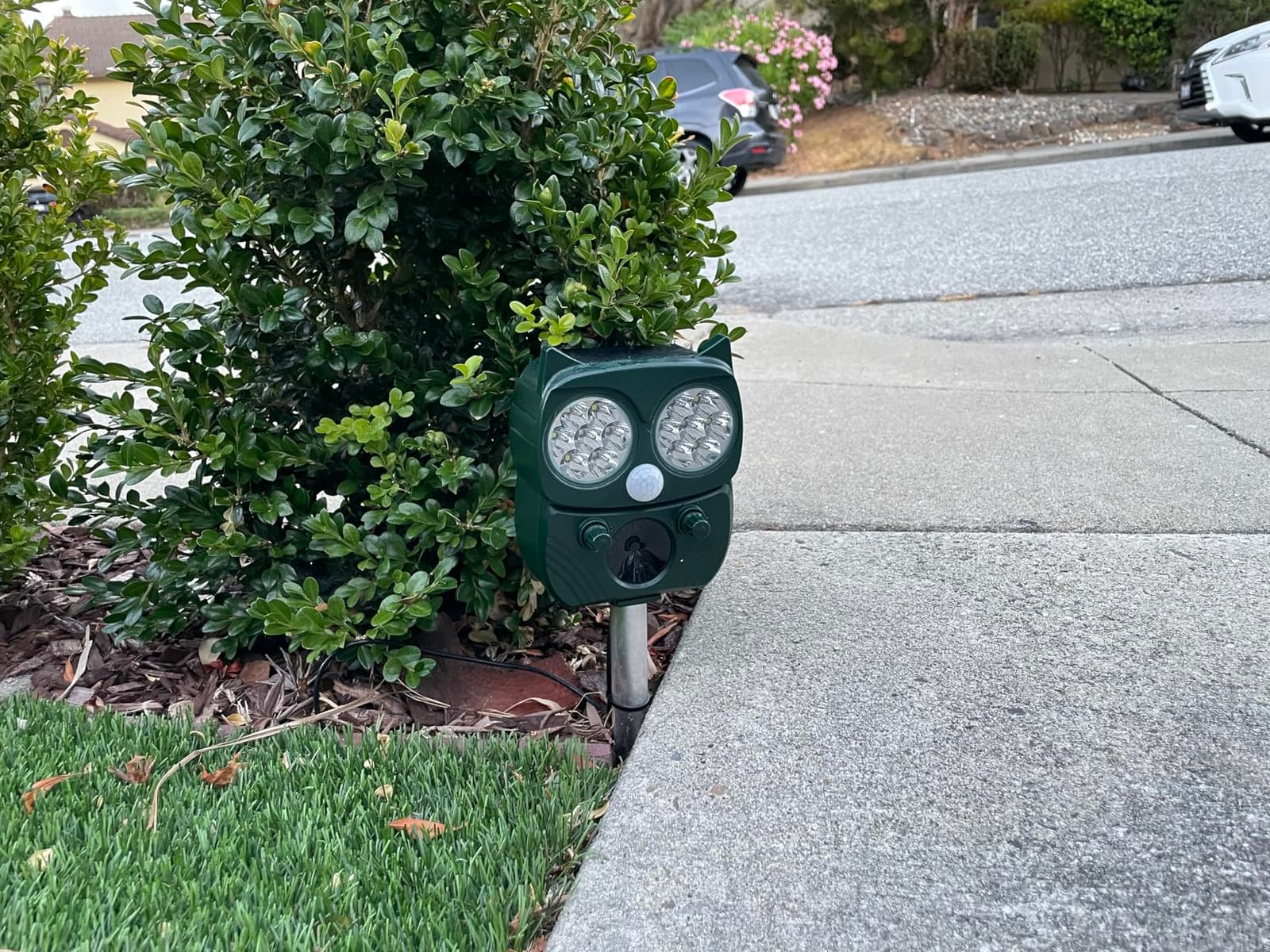 Solar Animal Repeller, Ultrasonic Repellent, Motion Detection, LED Flashing Light, Dog, Cat Repellent, Squirrel, Raccoon, Skunk, Rabbit, Rodent, Fox, Deer, etc. customer photo 2