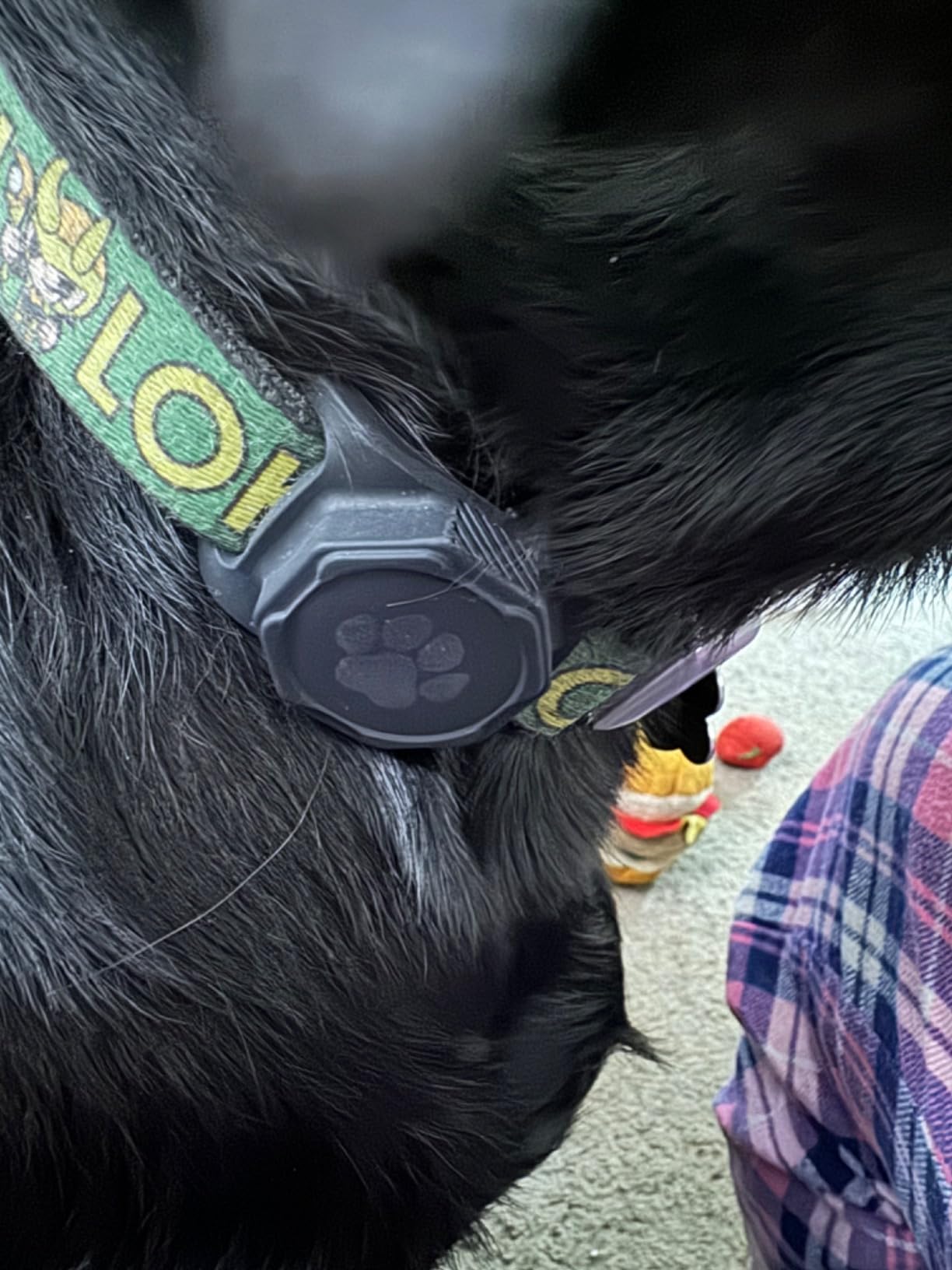 Smart Pet Tracker for Collar - Dog Tracker Pet Location Tracker with Holder customer photo 1