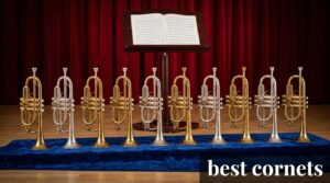 best cornets