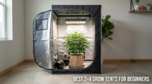 best 2x4 grow tents for beginners