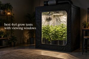 best 4x4 grow tents with viewing windows