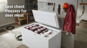 best chest freezers for deer meat