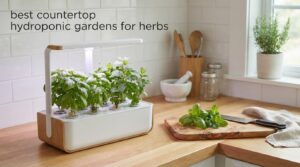 best countertop hydroponic gardens for herbs