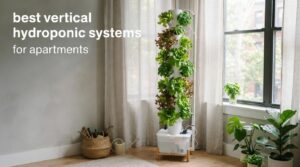 best vertical hydroponic systems for apartments