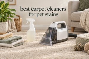 best carpet cleaners for pet stains