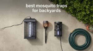 best mosquito traps for backyards