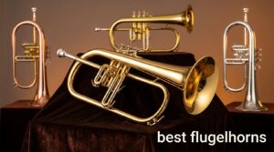best flugelhorns