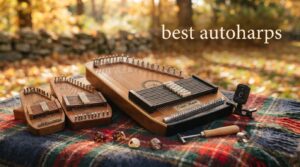 best autoharps