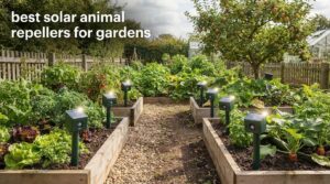 best solar animal repellers for gardens