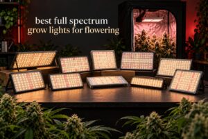 best full spectrum grow lights for flowering
